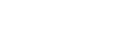 VALVE agency logo light